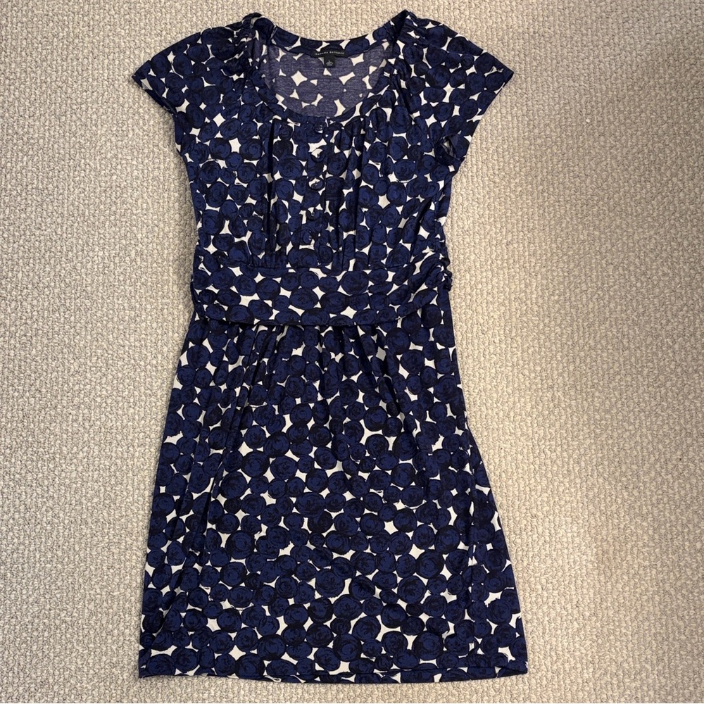 Banana Republic Silk Blue and White Mini Dress